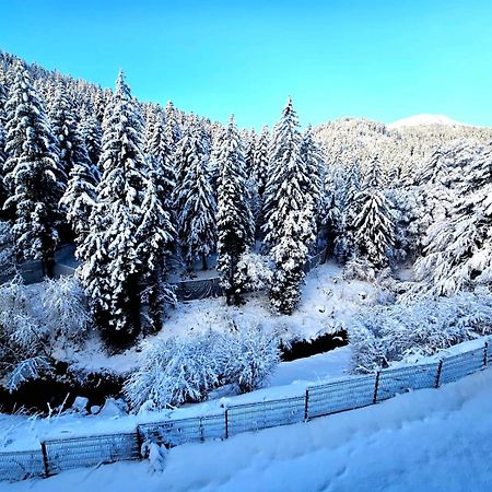 Duplex 4/6P Le Familial Daire Laveissière Dış mekan fotoğraf