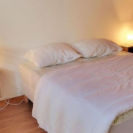 Duplex 4/6P Le Familial Daire Laveissière Dış mekan fotoğraf