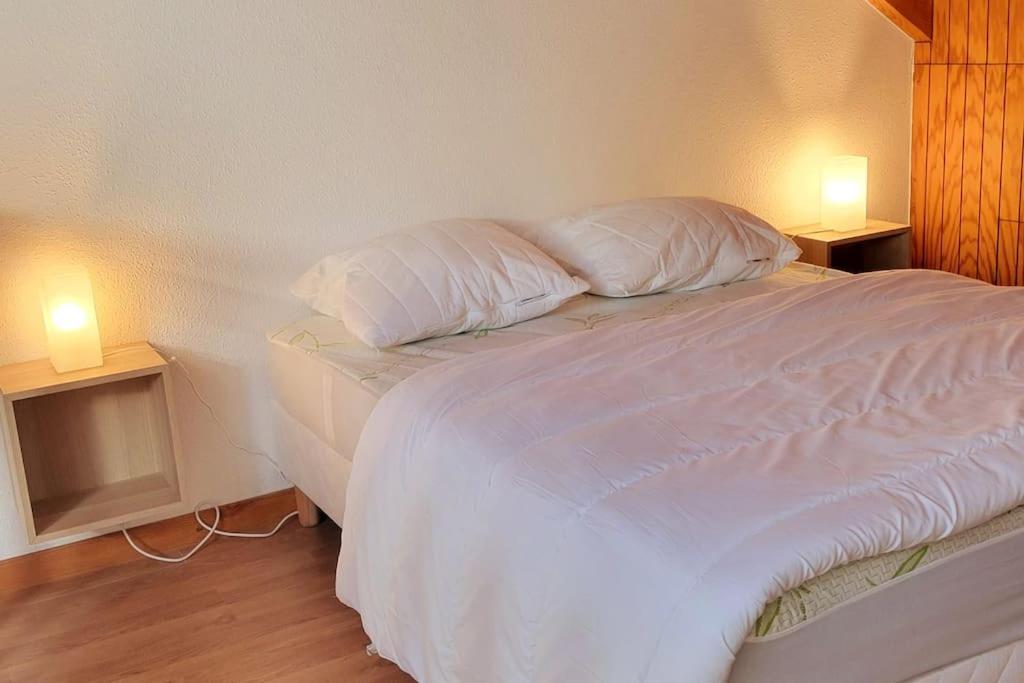 Duplex 4/6P Le Familial Daire Laveissière Dış mekan fotoğraf