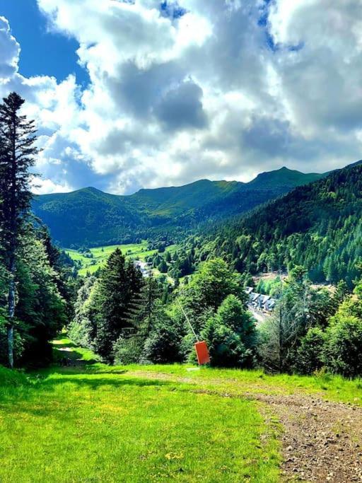 Duplex 4/6P Le Familial Daire Laveissière Dış mekan fotoğraf