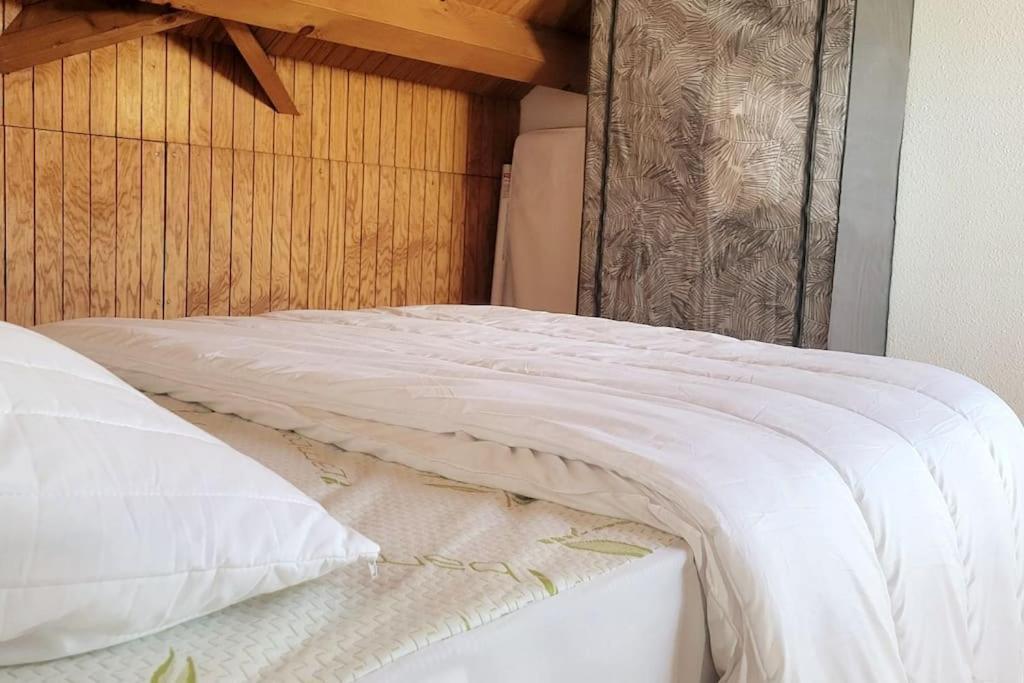 Duplex 4/6P Le Familial Daire Laveissière Dış mekan fotoğraf